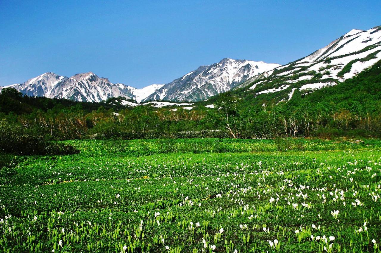 Hotel La Neige Honkan Hakuba Exterior photo